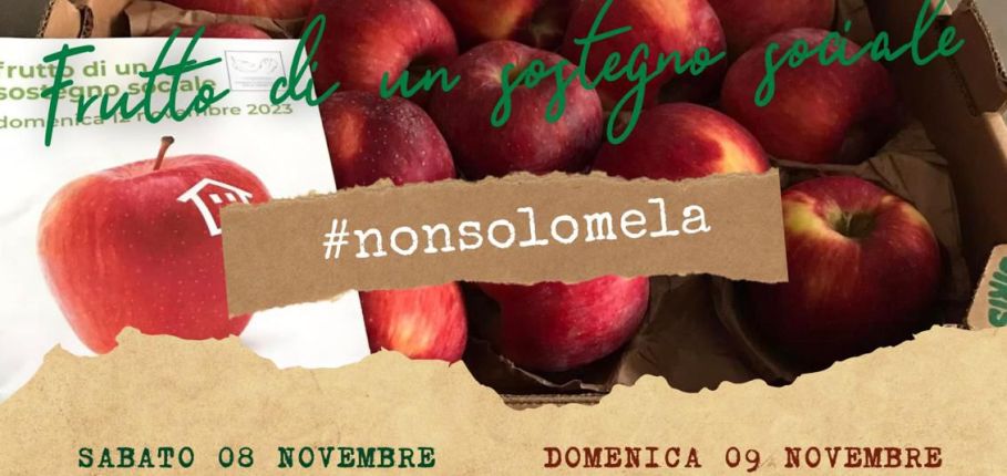 2025-11-09-Frutto di un sostegno sociale909x430.jpg